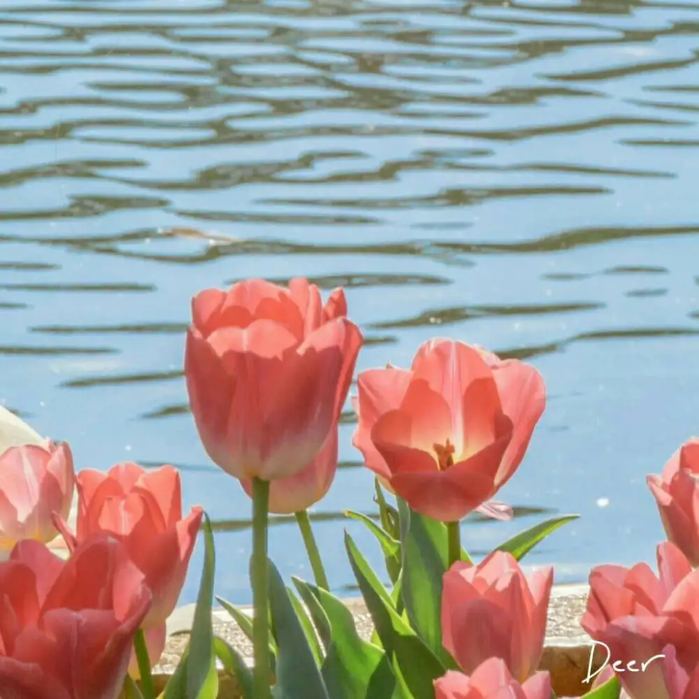 激励学习的文案