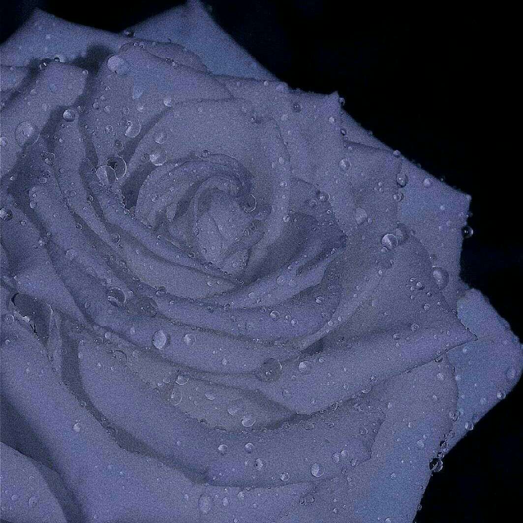 小雨在努力。的专辑