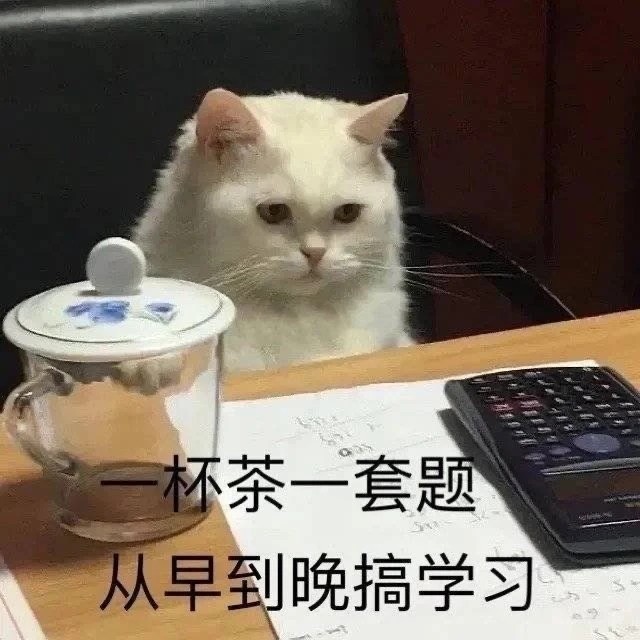 励志鸡汤