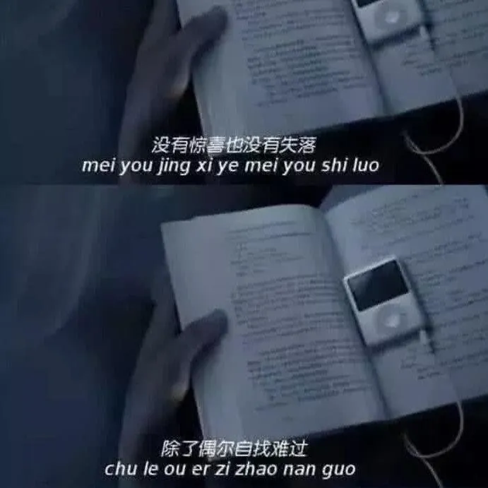 太真实了吧