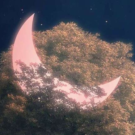 古诗词和美句合集