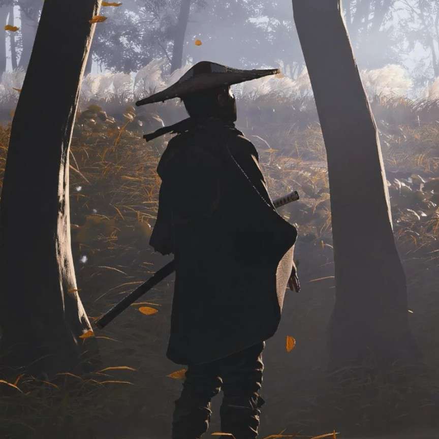 阴阳昼夜的专辑