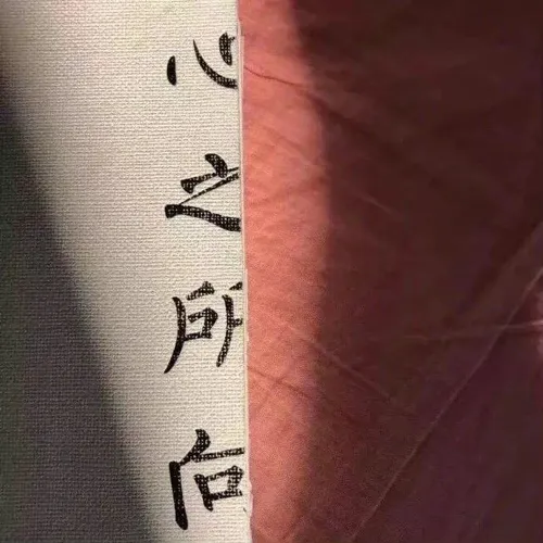 性子白的专辑
