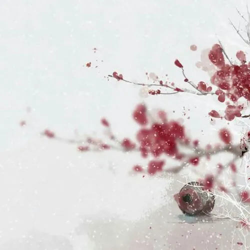 那些我喜欢的句子