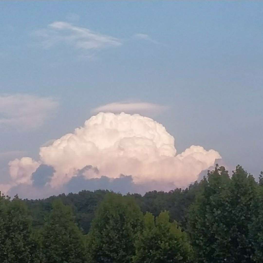 让人治愈的句子