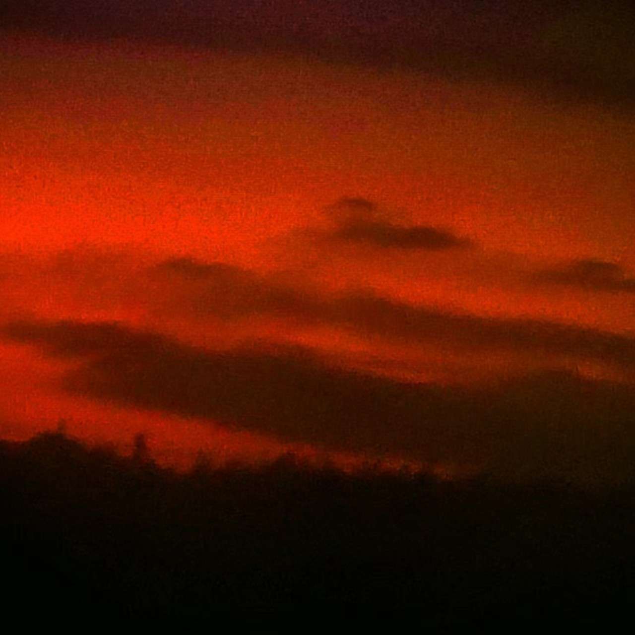 我偷了黄昏的酒，_____________