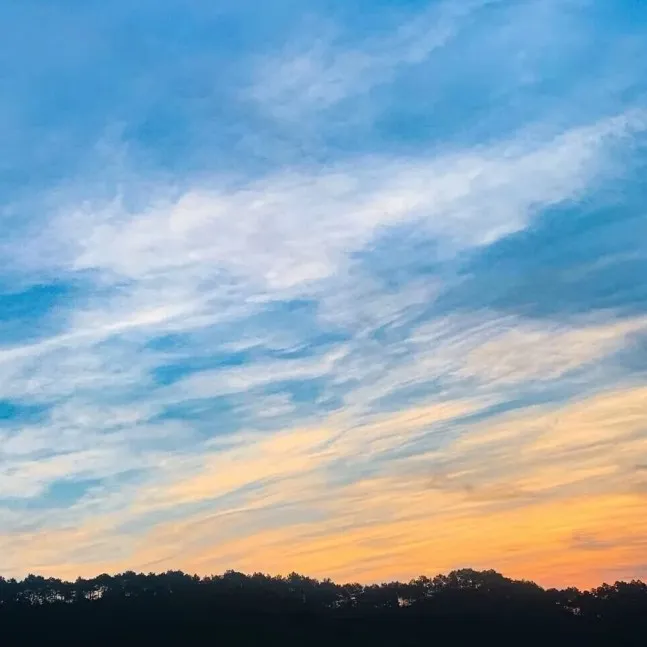 歌词