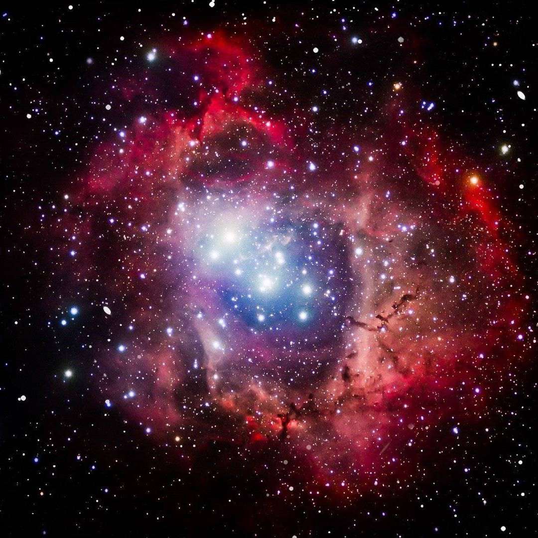 我只喜欢你的人设语录