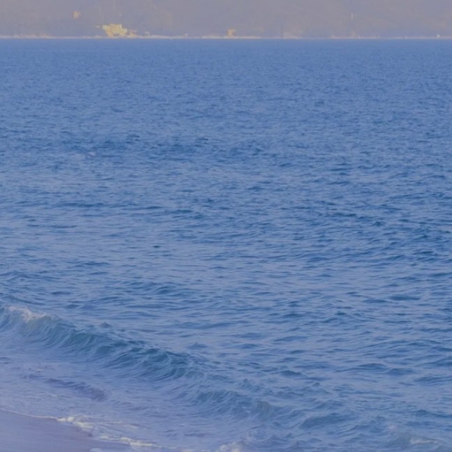 中考最后一个月