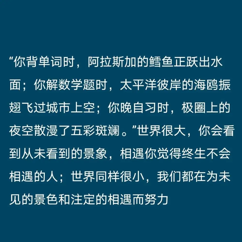 TNT专属收藏