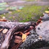 有没有那种心境平淡，不争的句子