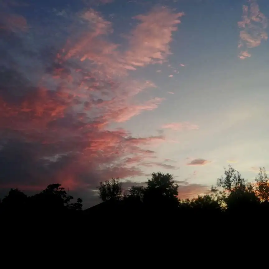 隐晦地表达遗憾的句子