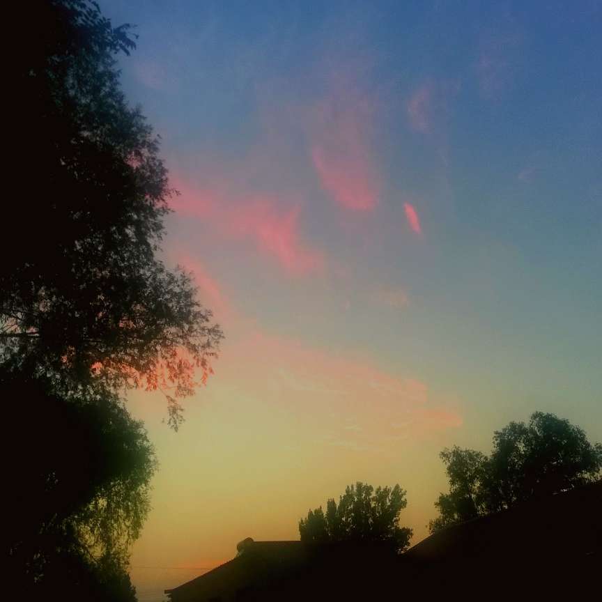 吻别夏日，拥抱素律