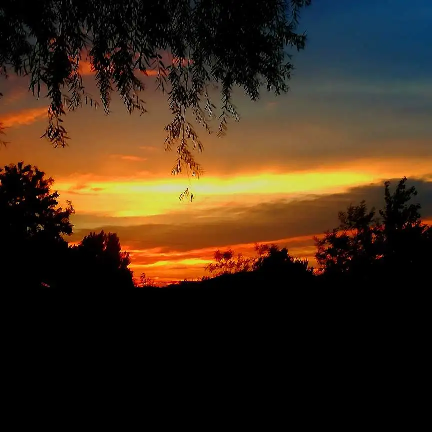 动漫里让人难以忘怀的台词