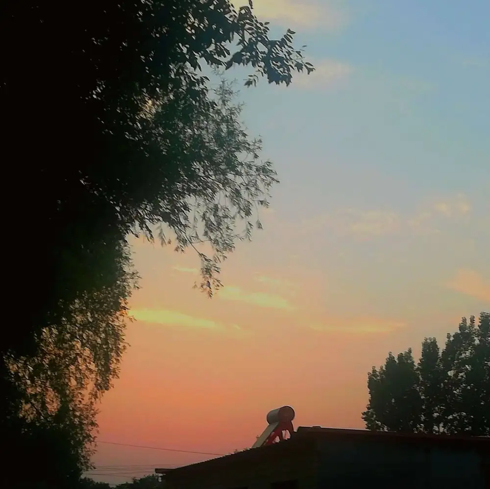 表达思念入骨的句子