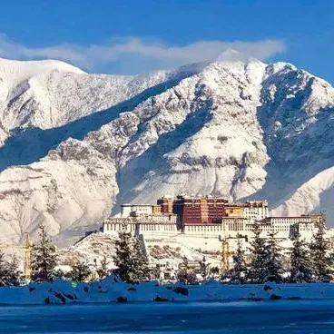 ヾ(❀╹◡╹)ﾉﾞ❀~