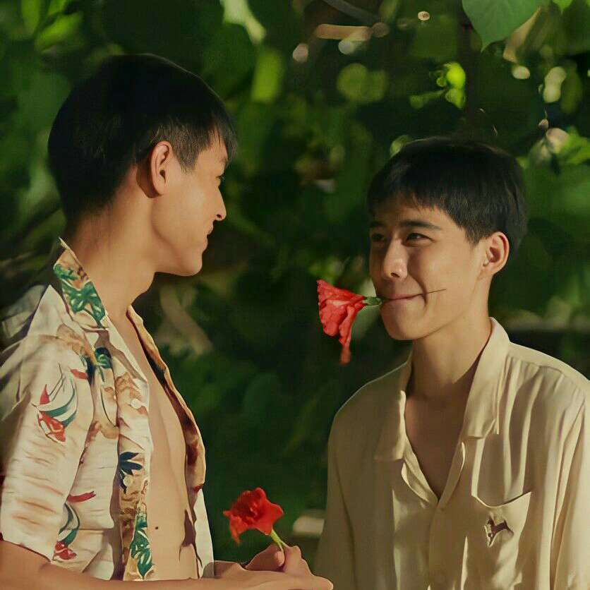 以你的心诠释我的爱