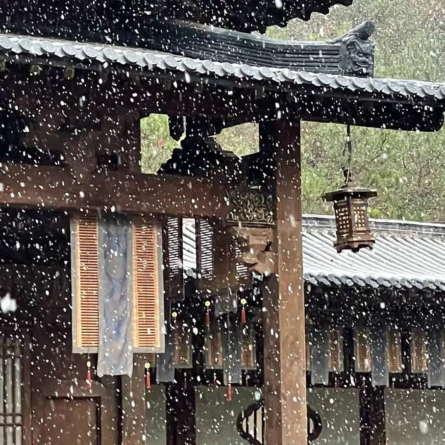 电视剧台词