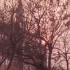 Iove的专辑