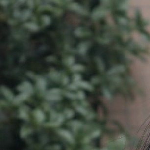 浅夏忆汐的专辑