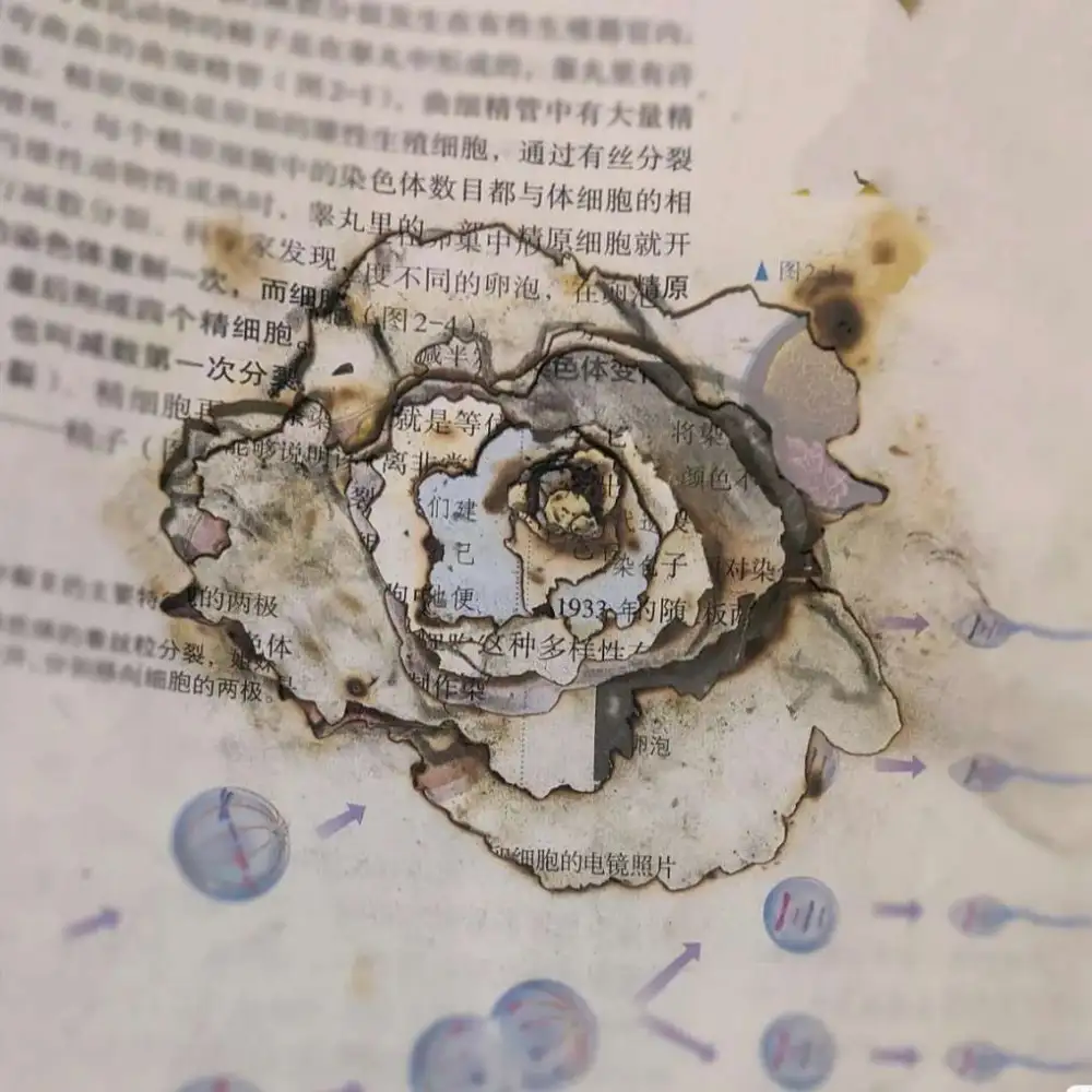 学习至上