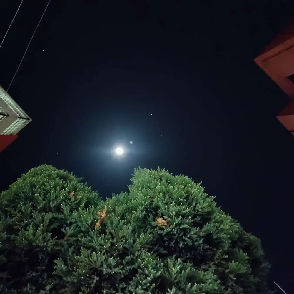 月亮的影子的专辑