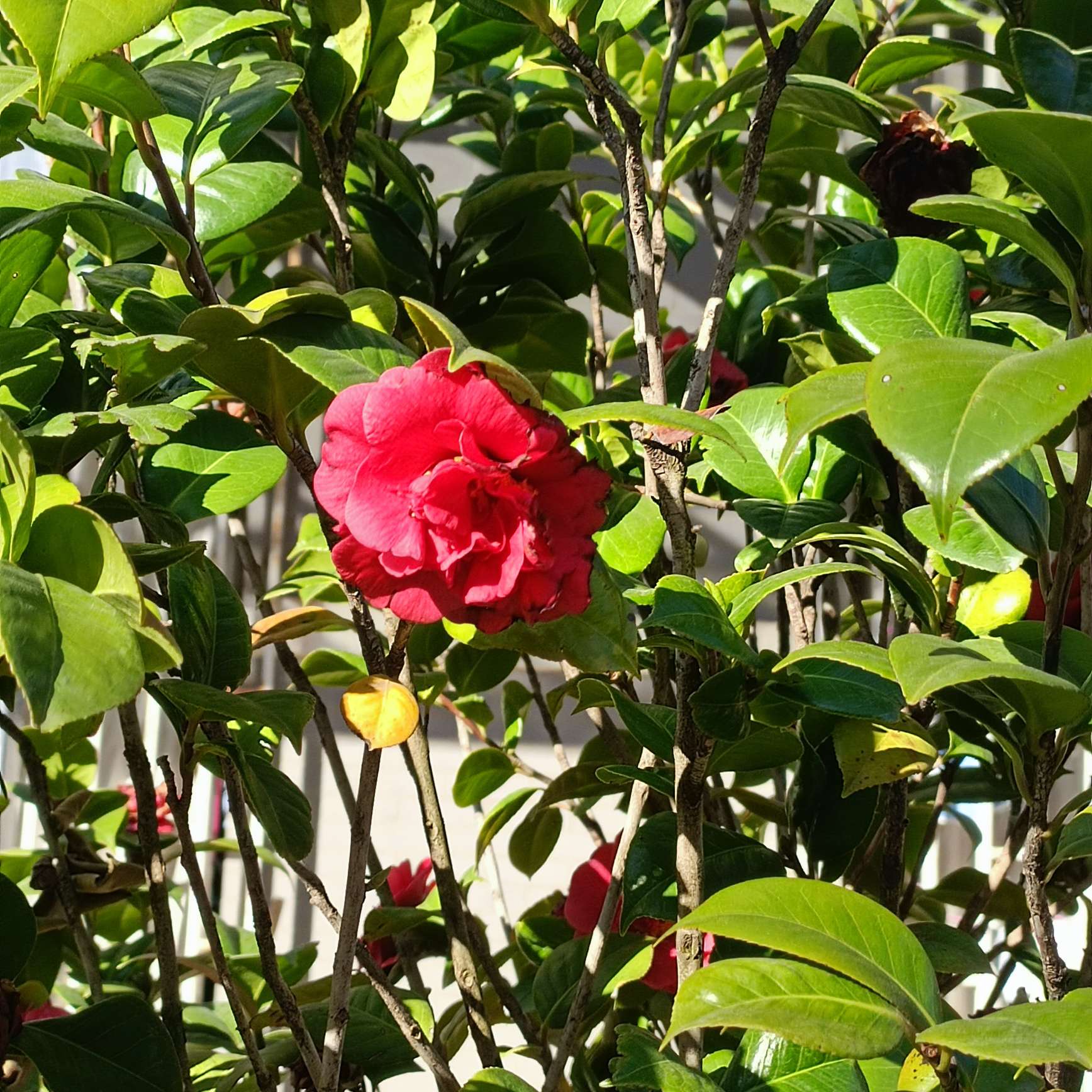 得之我幸，失之我命