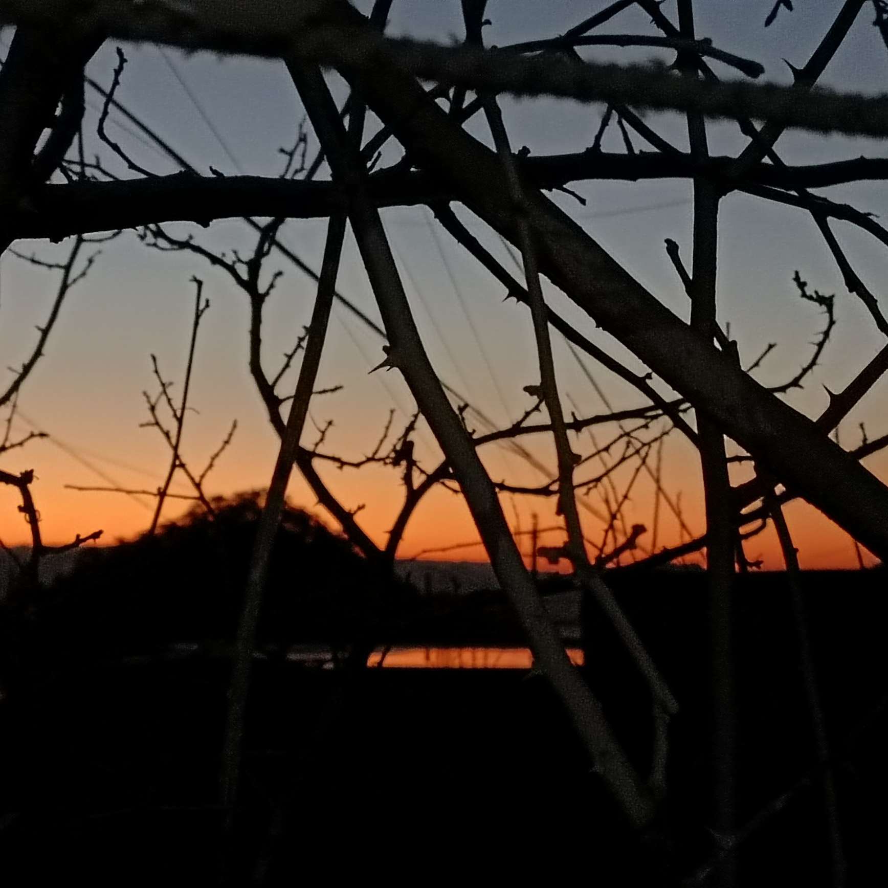 戏如人生，人生如戏