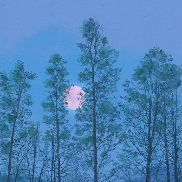 书摘