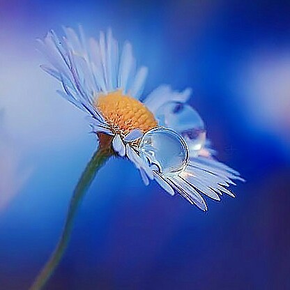 那个不为人知的故事