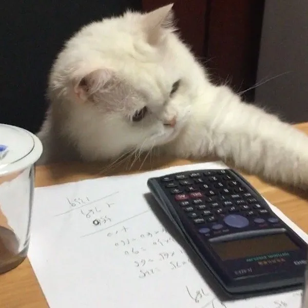 妄想