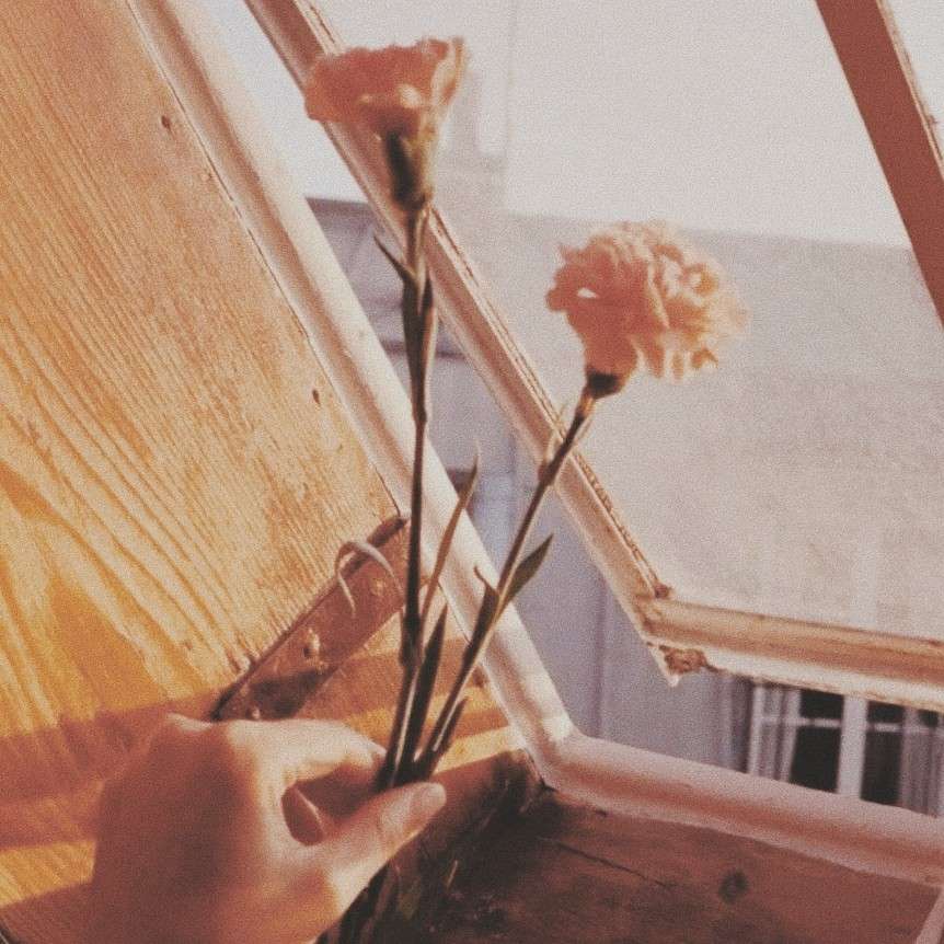 安于时光，岁月静好。