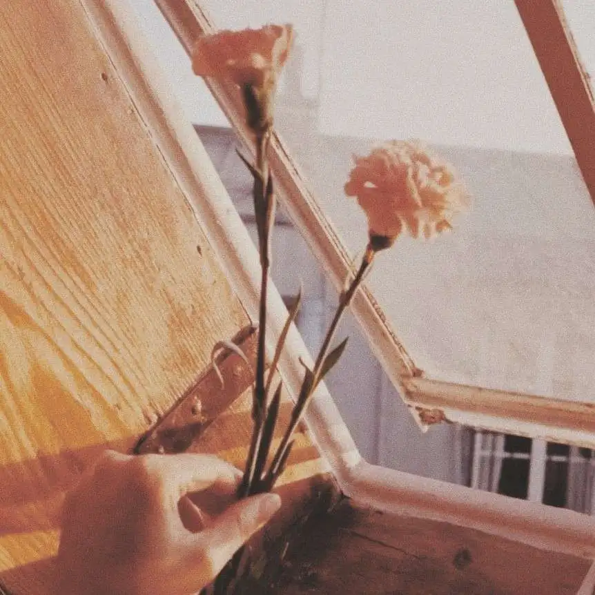 安于时光，岁月静好。