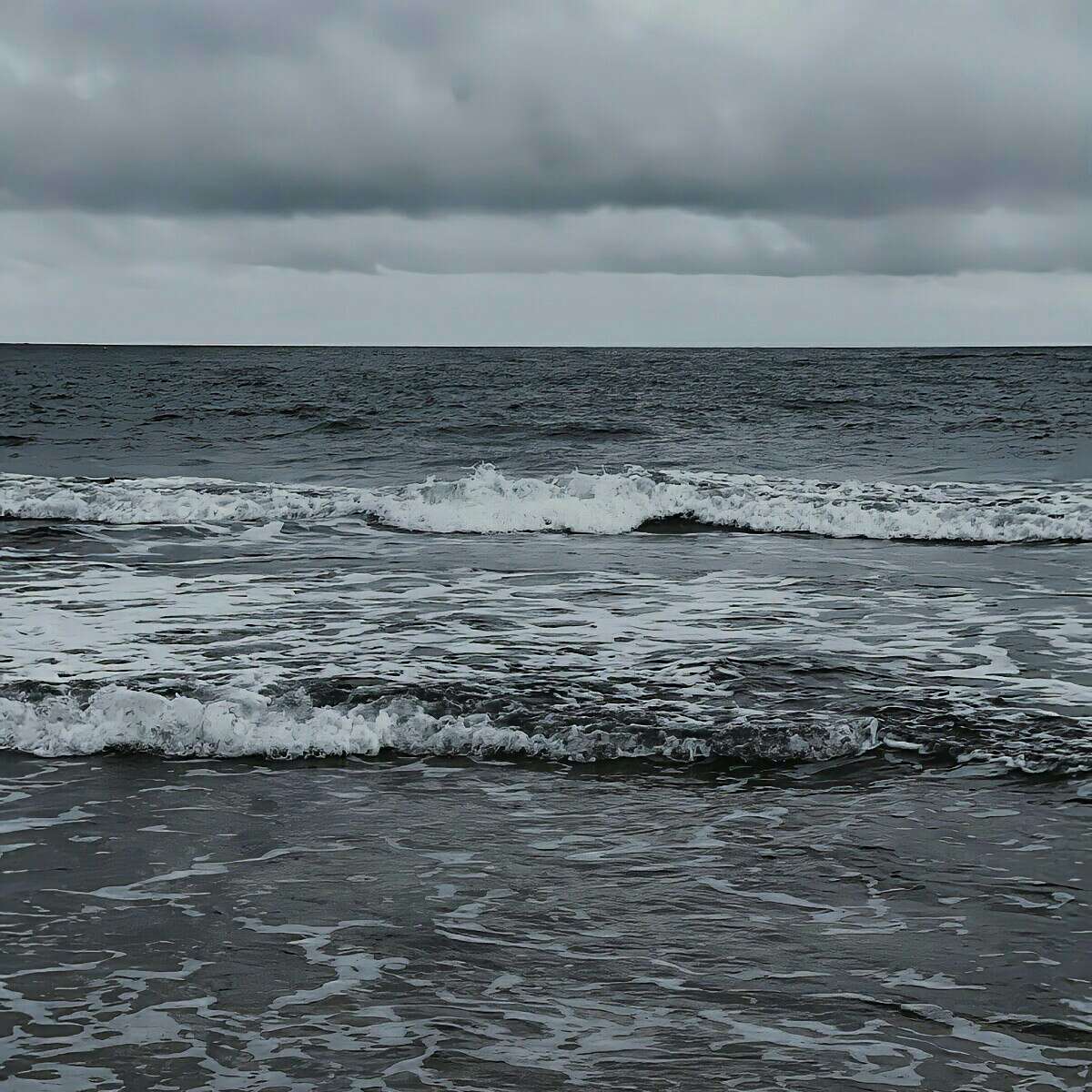 《知更鸟女孩》