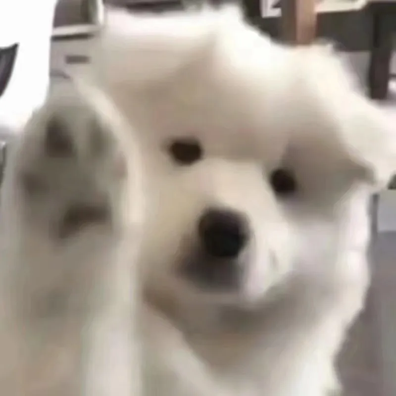 生活中的小点