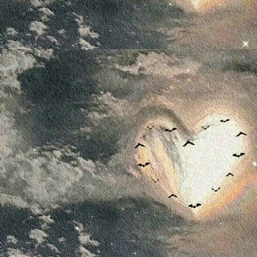 满眼星辰✨的专辑