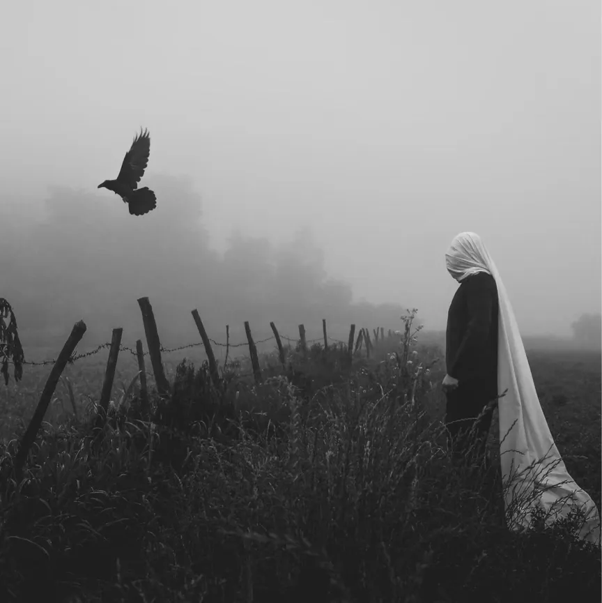 那些作家笔下暗黑又荒谬的怪诞美学