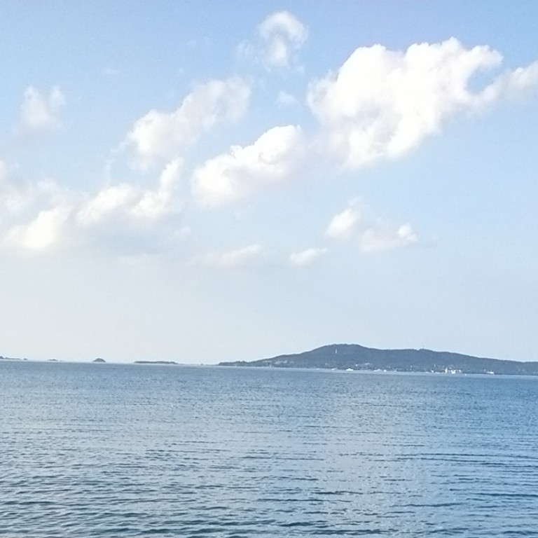 狮子座de奶茶的专辑