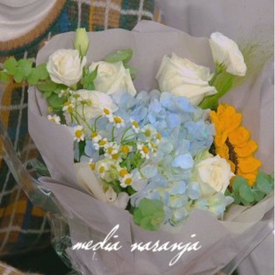 小炸¹¹²³号飞船的专辑