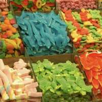 关于吃货的每日小记