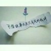 虐文书摘