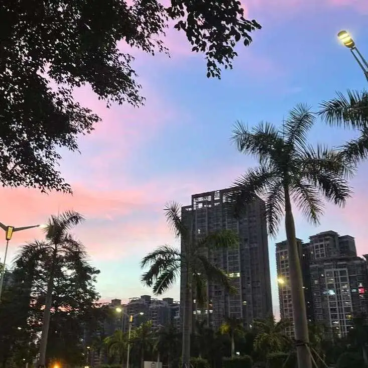 景