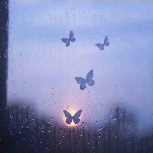 枯萎的花的专辑