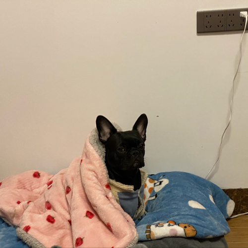 关系孤独的美句