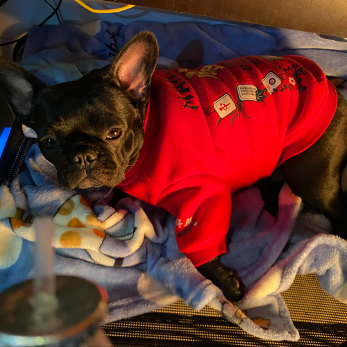 关于教育的收录