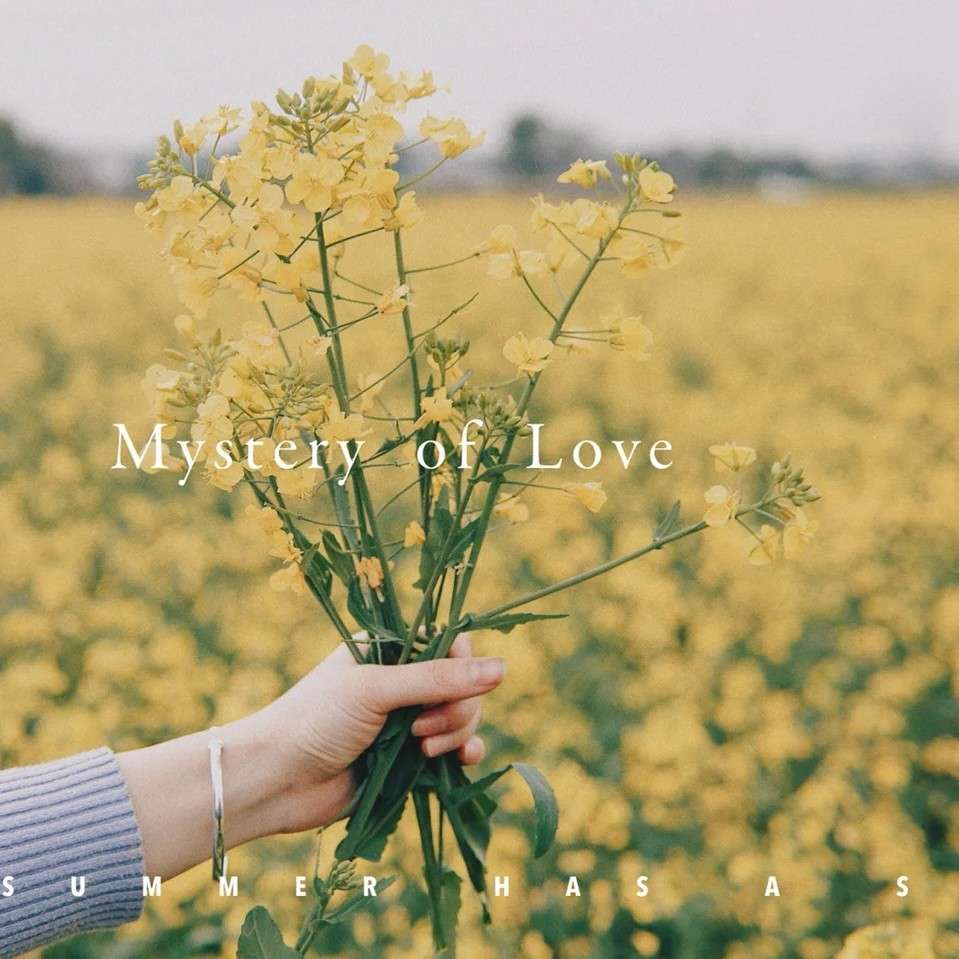 Mystery Of Love 🌿