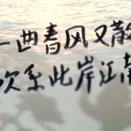 子末记录集