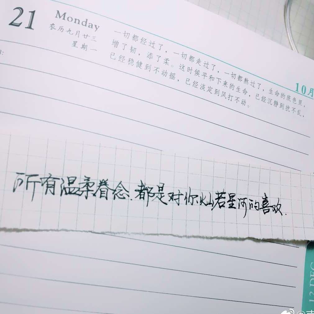 灿若星河的喜欢