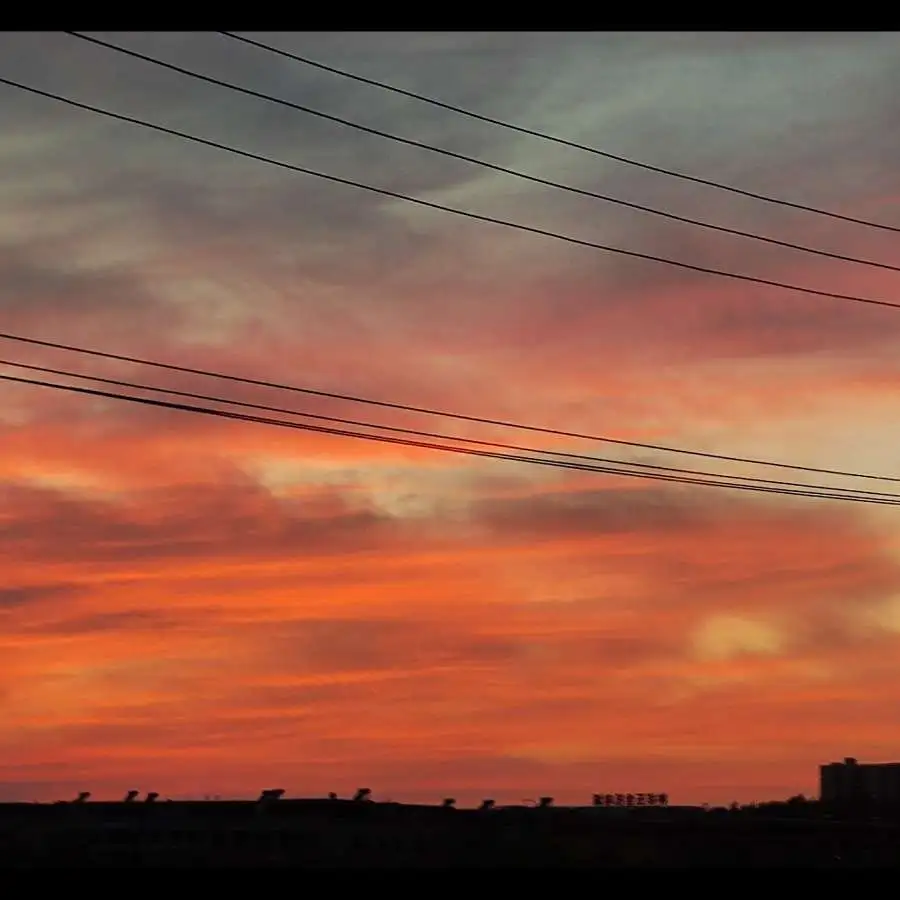 情感，孤独，月亮，