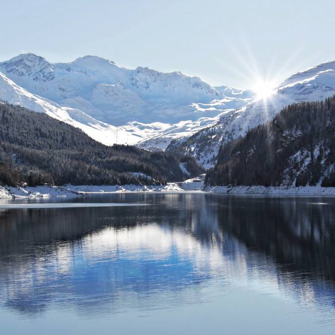 可以写进作文的句子